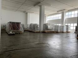 Pioneer Cresent (D22), Factory #577938101